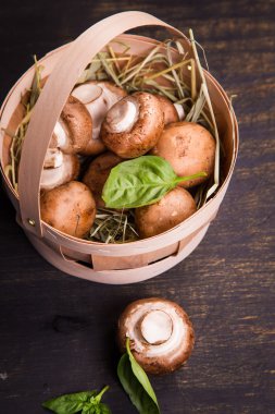 Yeşil fesleğen ile mantar