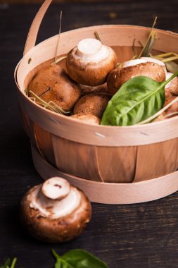 Yeşil fesleğen ile mantar