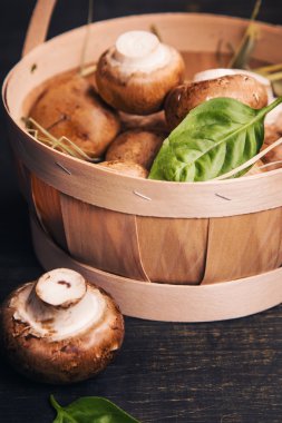 Yeşil fesleğen ile mantar