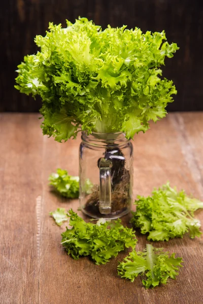 Fresh green salad — Stock Photo, Image