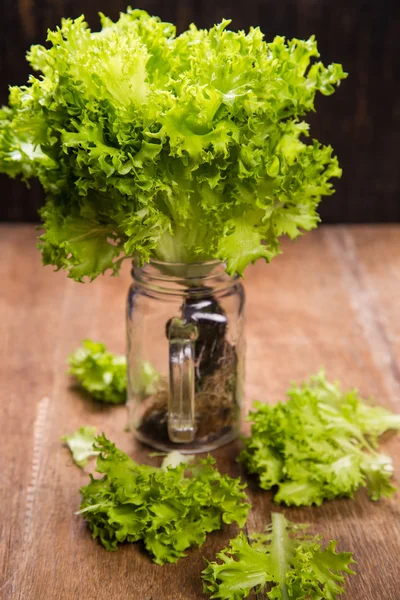 Fresh green salad — Stock Photo, Image