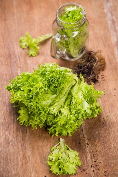 Fresh green salad — Stock Photo, Image