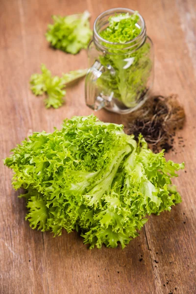 Fresh green salad — Stock Photo, Image