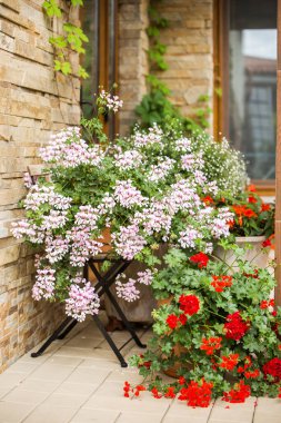 Evin tuğla duvarının bir kısmı ve yanında çiçekler olan saksılar.