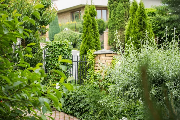 Een Deel Van Het Hek Gelegen Het Groene Gebied Buurt — Stockfoto