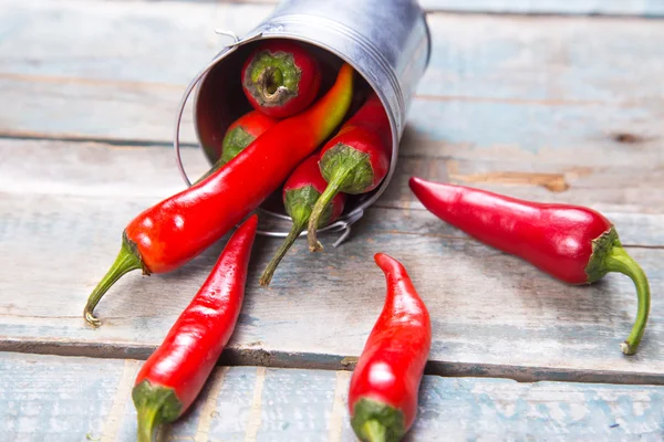 Pepper — Stock Photo, Image