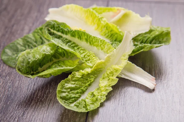 Salad romen — Stock Photo, Image