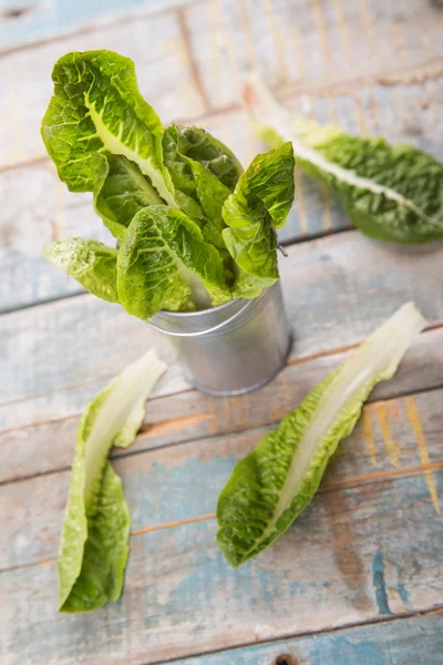 Salad romen — Stock Photo, Image