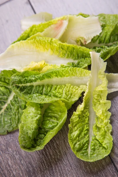 Salad romen — Stock Photo, Image