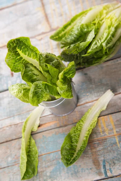 Salad romen — Stock Photo, Image