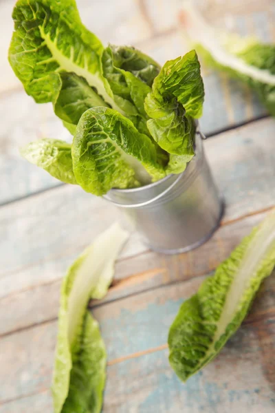 Salad romen — Stock Photo, Image