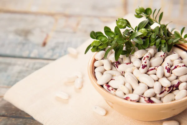 Kidney bean — Stock Photo, Image