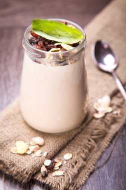 Yoğurtlu müsli
