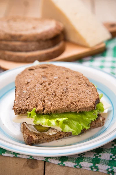 Panino — Foto Stock