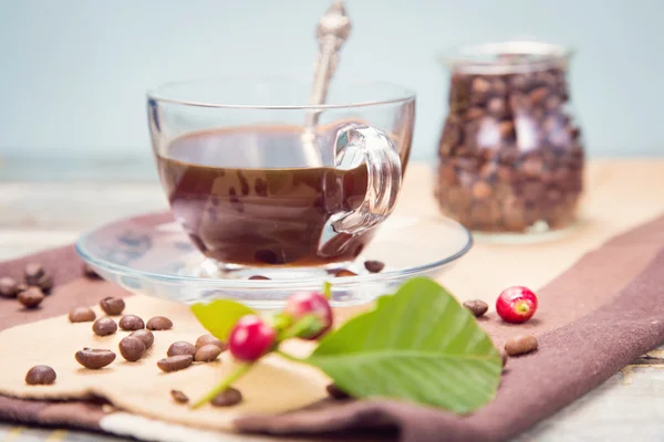 Coffee with raw coffee — Stock Photo, Image