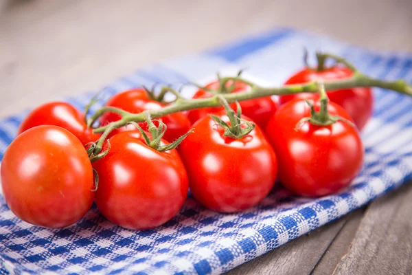 Tomaten — Stockfoto