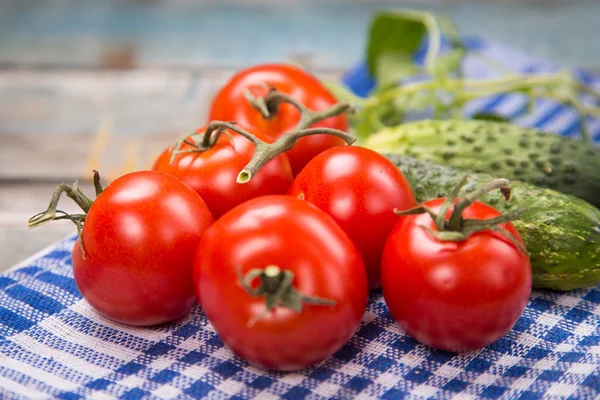 Frisches Gemüse — Stockfoto