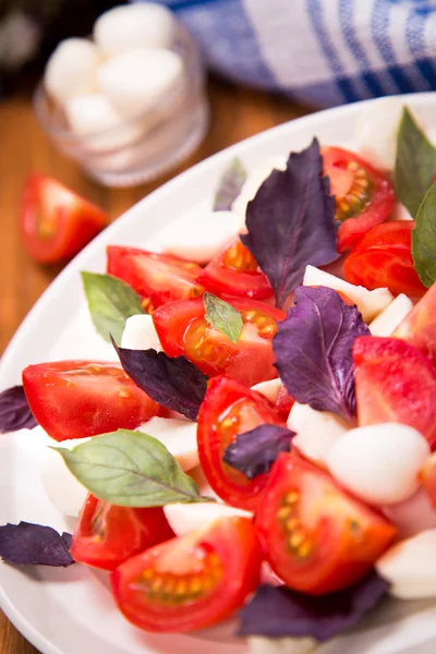 Insalata caprese — Foto Stock