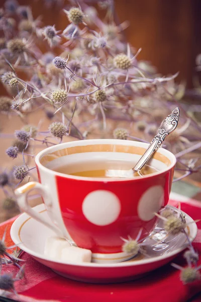 Tea in cup — Stock Photo, Image