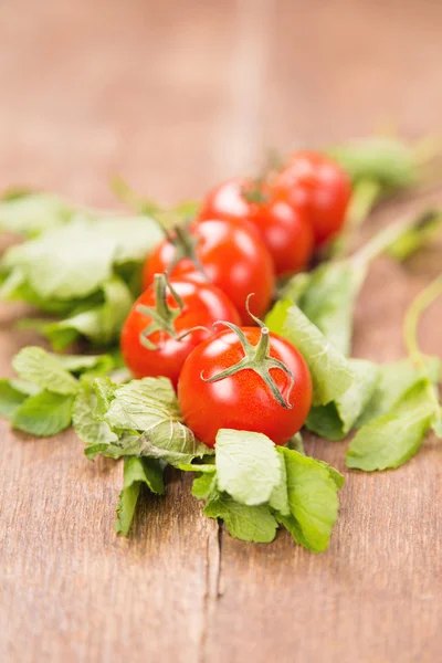Tomaten met munt — Stockfoto