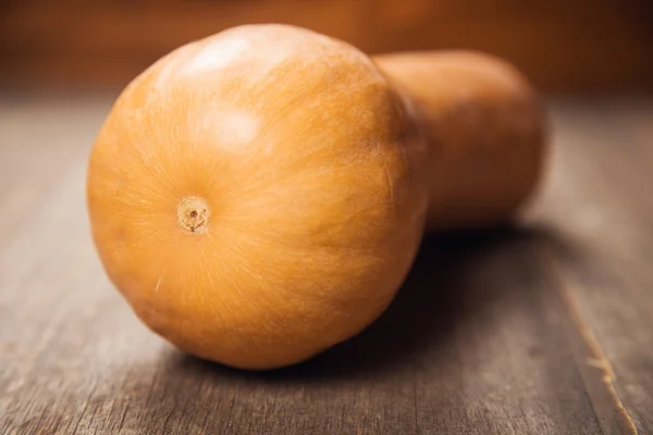 One pumpkin in studio — Stock Photo, Image