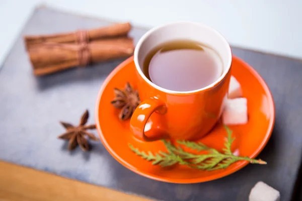 Cup on the book — Stock Photo, Image