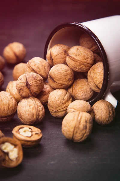 Walnut with white cup — Stock Photo, Image