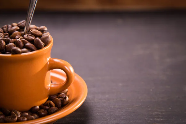 Насіння кави — стокове фото