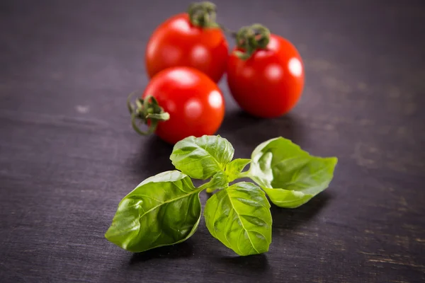 Tomaten met basilicum — Stockfoto