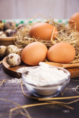 Paskalya yortusu yumurta