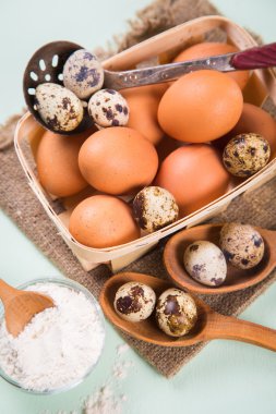 Paskalya yortusu yumurta