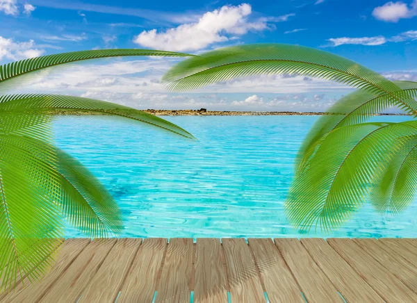 Tropisch strand met palmbomen — Stockfoto