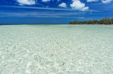 Deniz ve sunny beach