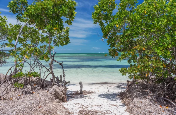 Zee en zonnige strand — Stockfoto