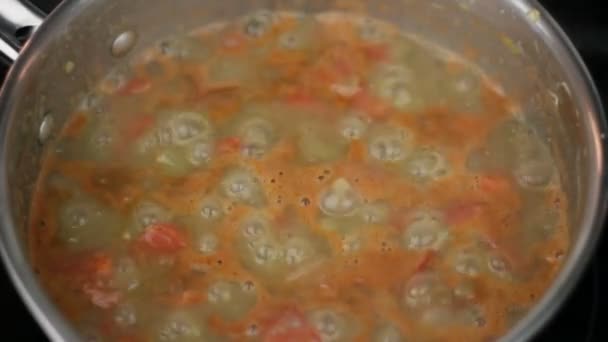 Linsensuppe mit Tomaten und Gemüse kochen — Stockvideo