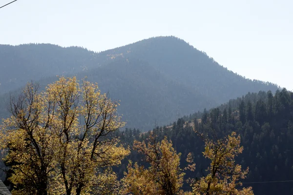 Idaho Springs Usa October 2020 Smoky Day View Aspen Trees — Stock Photo, Image