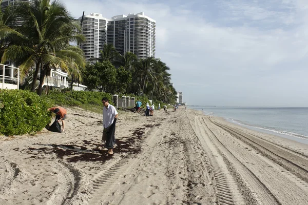 Takarítás megjelöl a parti Cleanup önkéntesek — Stock Fotó