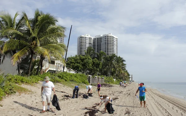 Pessoas limpando a praia Imagens Royalty-Free