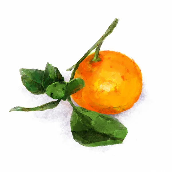 Ilustración en acuarela de mandarina — Foto de Stock