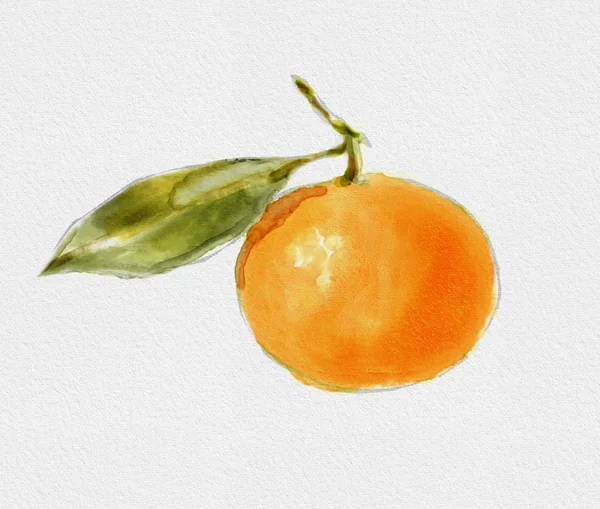 Akvarell frukten av mandarin — Stockfoto