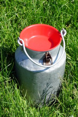 Sırbistan'daki sütü kabı