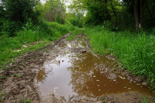 Wet road in Serbia — Stock Photo, Image