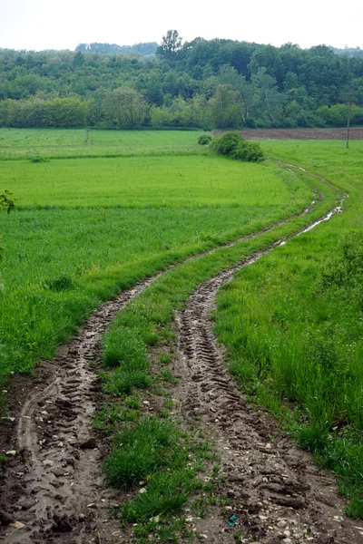 Dirt track in Servië — Stockfoto