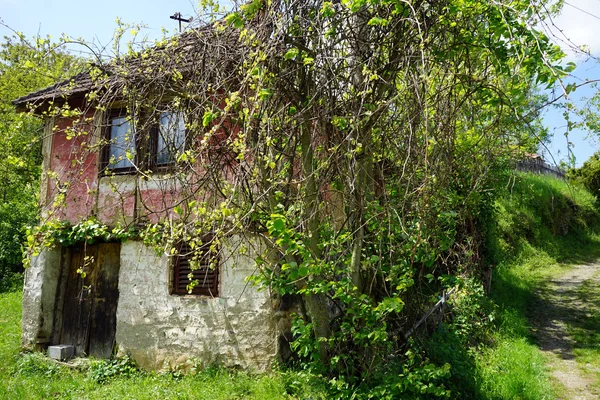 Gamla hus i Serbien — Stockfoto