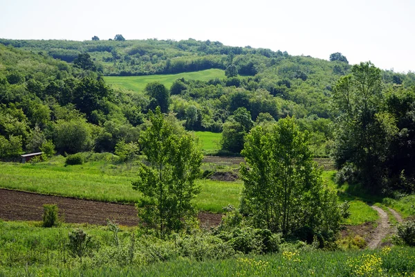 Feldweg in Serbien — Stockfoto