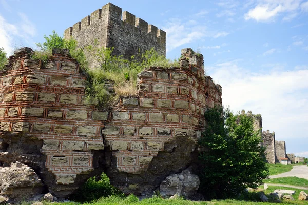 Old tower in Serbia — Stock Photo, Image