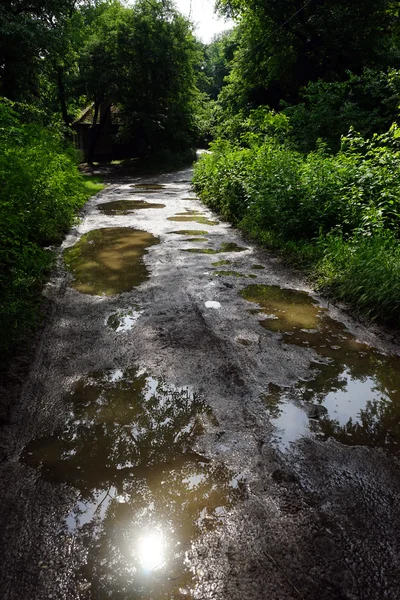 Sırbistan'daki ıslak yol — Stok fotoğraf