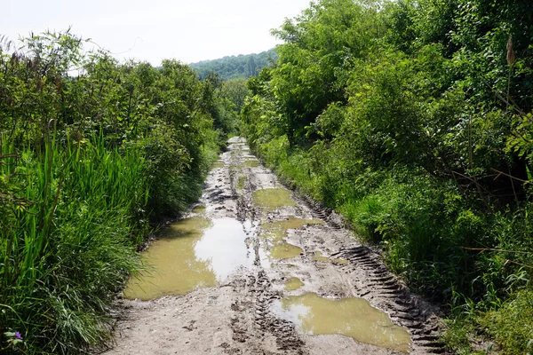 Estrada húmida na Sérvia — Fotografia de Stock