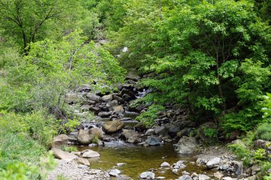 Sırbistan'daki küçük nehir