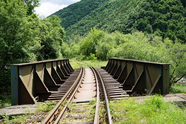 Σιδηροδρομική γέφυρα στη Σερβία — Φωτογραφία Αρχείου